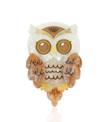 Professor Hoot Owl Brooch
