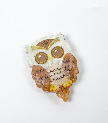 Professor Hoot Owl Brooch